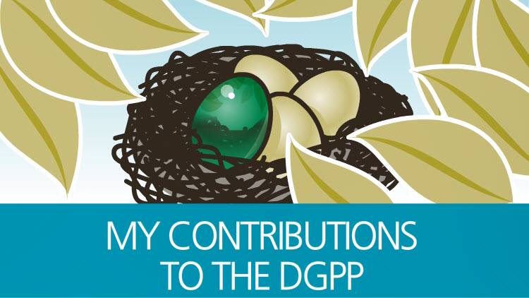 My contributions to the DGPP